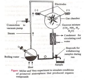 Class Th Exam Biology Vvi Objective Subjective Question Evolution Chapter Stark Study Point