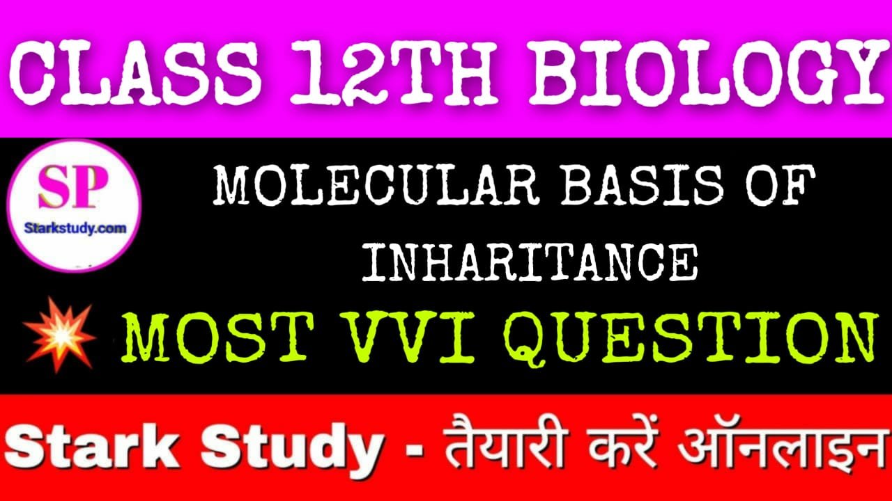 Class 12th Board Exam Biology Important Chapter Wise Mcq Question In English Stark Study Point